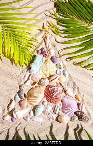 Fond de plage Noël avec un arrangement créatif de coquillages formant un arbre de Noël sur le sable texturé avec lignes striées et de green palm tree bru Banque D'Images