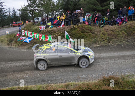 Au coin,Elfyn,Myherin,Championnat du Monde des Rallyes WRC, rallye de voitures Go au Pays de Galles,Welsh,UK,sur un jour de pluie dans les collines galloises, forêt,deuxième étape,run SS14 à Myherin. Championnat du Monde des Rallyes WRC Rallye automobile GO au Pays de Galles,Welsh,UK, le samedi 5 octobre 2019. Wales Rally GB est le Royaume-Uni de jambe une voiture sport automobile rallye World Series.Myherin étape est l'étape de 14,24 miles est un fan, fans, spectateur, spectateurs, comme les voitures de rallye préféré peut être vu close-up comme ils passent par la forêt des courbures. Un endroit populaire pour les spectateurs,fans,est Elfyn's Corner, nommé d'après le pilote gallois Elfyn Evans qui a remporté ce rallye. Banque D'Images