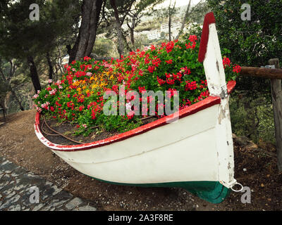 Vieux bateau de pêche rempli de fleurs colorées Banque D'Images