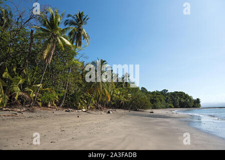 Belle plage de l'île cebaco panama Banque D'Images