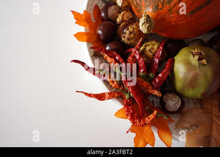 Fruit d'automne fond avec copie espace télévision et jeter la plaque avec Red Hot Chili Peppers, Hokkaido, potiron et châtaignes de grenade Banque D'Images