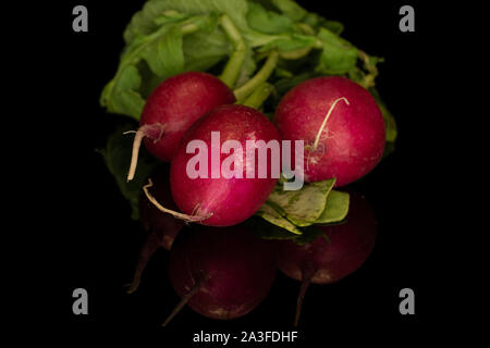 Groupe de trois entiers et frais de radis rouge isolé sur verre noir Banque D'Images