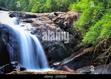 Belle cascade dans le sur la forêt luxuriante de Kerala, Inde Banque D'Images