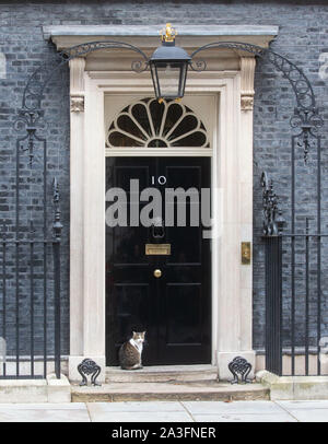 Londres, Royaume-Uni. 8 octobre 2019. Larry le chat, chef Mouser au Conseil du Trésor, à la porte du numéro 10 Downing Street. Credit : Tommy Londres/Alamy Live News Banque D'Images