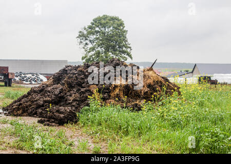 La bouse de vache d'engrais et de paille. Un tas de fumier se trouve sur le bord du champ.Tree,balles de silo et granges dans l'arrière-plan. Podlasie, Pologne. Banque D'Images