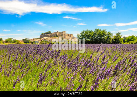 Champs de lavande au village de Gordes, une petite ville médiévale en Provence, destination de voyage en France. Banque D'Images