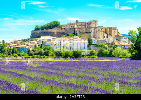 Champs de lavande au village de Gordes, une petite ville médiévale en Provence, destination de voyage en France. Banque D'Images