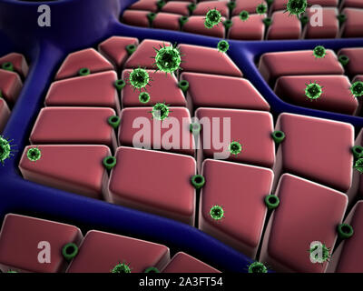 Le virus atack cellules, attaque de virus les cellules du foie, du foie, de la structure de la surface du foie, le processus d'infecter les cellules, les virus dans les poumons Banque D'Images