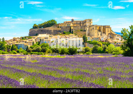 Champs de lavande au village de Gordes, une petite ville médiévale en Provence, destination de voyage en France. Banque D'Images