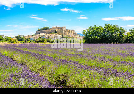 Champs de lavande au village de Gordes, une petite ville médiévale en Provence, destination de voyage en France. Banque D'Images