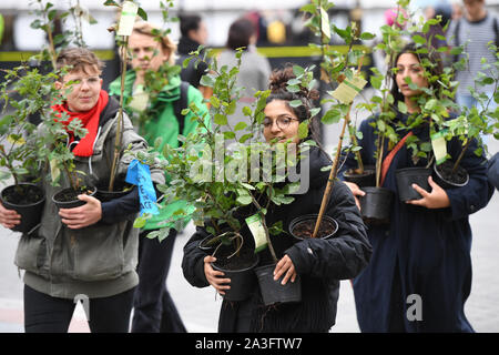 Arbres pour transporter les manifestants place dans de vieux palace Yard en dehors du Parlement, au cours d'une rébellion d'Extinction (XR) Manifestation à Westminster, Londres. Banque D'Images