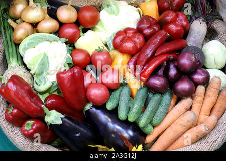 Divers légumes récoltés fraîchement cueillis dans panier comme arrière-plan. Les produits des aliments de l'automne en arrière-plan. La récolte des légumes biologiques sains et Banque D'Images