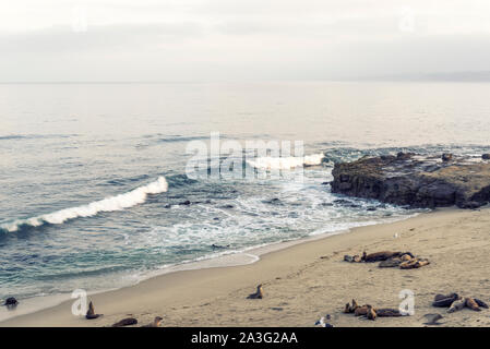 Boomer's plage le matin. La Jolla, Californie. Banque D'Images