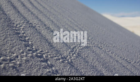 Sentiers du gauche sur une dune de sable Banque D'Images