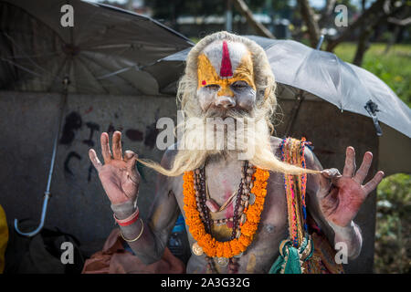 Un sadhu, un saint homme hindou, montre sa barbe à Katmandou, Népal Banque D'Images