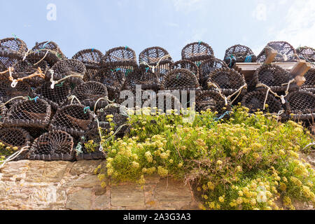 Des casiers à homard ou des pièges à Hope Cove, Kingsbridge, Devon, Angleterre, Royaume-Uni. Banque D'Images