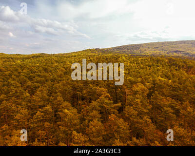 Vue aérienne sur l'Anninger hill et la forêt de Mödling en Basse-Autriche. Randonnées d'automne et concept. Banque D'Images