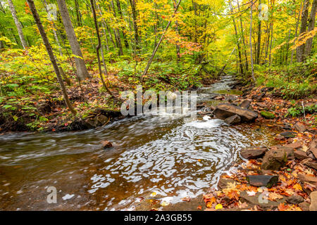 La couleur de l'automne à rapids au-dessous de la cascade Falls hongrois dans la Péninsule Supérieure du Michigan. Banque D'Images