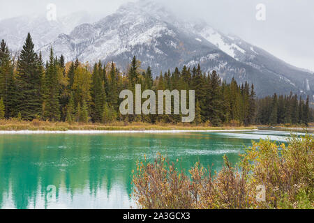 Vue sur les montagnes Rocheuses de l'autre côté de la rivière Bow dans la ville de montagne de Banff (Alberta) Banque D'Images