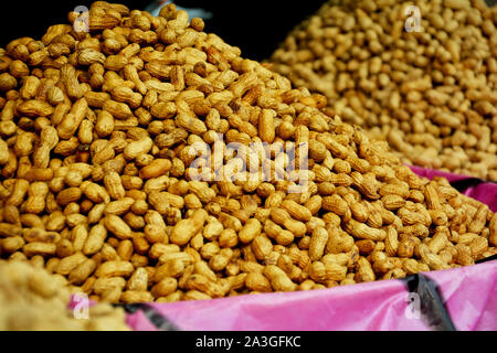 Tas de pelées, séchées et l'arachide, les cacahuètes grillées golden également connu sous le nom de goober ou monkey écrous avec coquillages classés comme Arachis hypogaea étant Banque D'Images