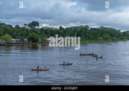 A deux jours de voyage en bateau de Manaus à Tefé sur le fleuve Amazone ou Rio Solimoes, fin de saison des pluies, l'Amazonie, Brésil, Amérique Latine Banque D'Images