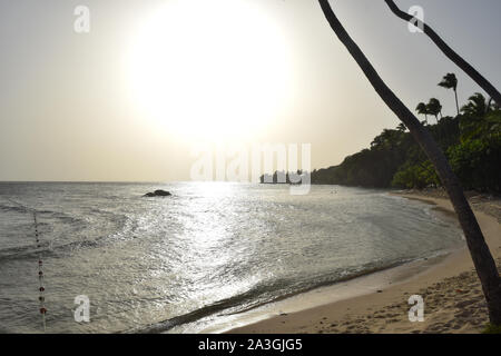 Coucher de soleil sur la plage de l'île des caraïbes cayo levantado Banque D'Images