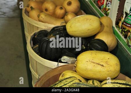 Les gourdes et courges dans des paniers ronds dans un marché de producteurs Banque D'Images