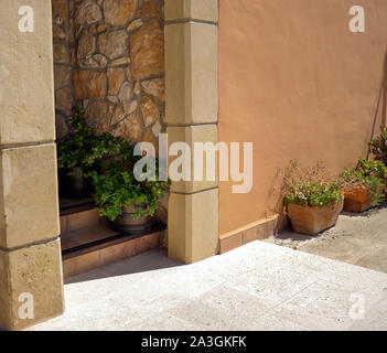 Escalier à la porte de la maison décorée avec des plantes ornementales et des fleurs en pots. Banque D'Images