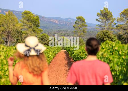 La France, Var, La Motte, à pied d'un jeune couple dans le vignoble AOP C ?tes de Provence du ch ?teau des Demoiselles Banque D'Images