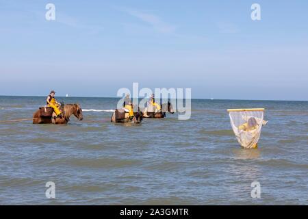 Belgique, Flandre occidentale province, Koksijde, Oostduinkerke, la pêche de crevettes à cheval est un type de pêche unique au monde, reconnue comme patrimoine culturel immatériel de l'humanité par l'UNESCO en 2013 dont la tradition remonte à plusieurs siècles Banque D'Images
