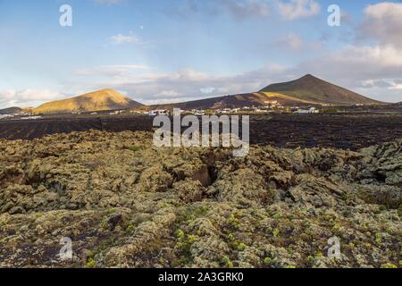 Espagne, Canaries, Lanzarote Island, la G ?ria, la biosphère, les vignes près de Montana Blanca Banque D'Images