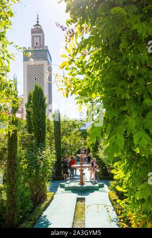 France, Paris, la Grande Mosquée de Paris Banque D'Images