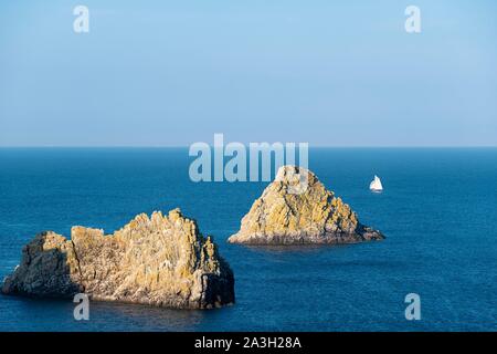 La France, Finistère, Parc naturel régional d'Armorique, la Presqu'île de Crozon, Camaret-sur-Mer, la pointe de Pen-Hir, côte de Banque D'Images