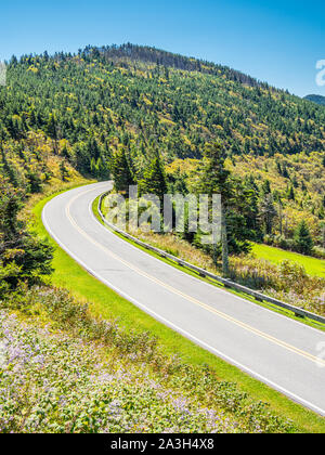 Mt Mitchell State Park route menant au haut du mont Mitchell plus haute montagne dans l'Est de l'UNited Staes dans les Appalaches de Caroline du Nord. Banque D'Images