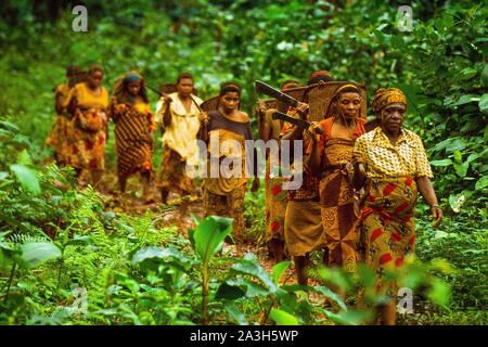 Congo, l'Est, les femmes Baka Lobeke, faites pousser des plantes, tels que les plantains, le manioc et les bananes, et la pratique de l'apiculture Banque D'Images