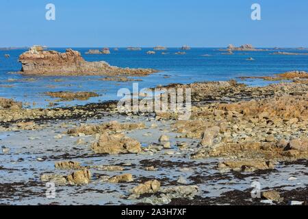 France, Cotes d'Armor, Plougrescant, sur le chemin de randonnée GR 34, Pointe du Chateau et Pors Hir Banque D'Images