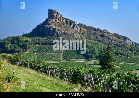 France, Saône et Loire, Solutré Pouilly, vignobles sur une colline avec la roche de Solutré en arrière-plan Banque D'Images