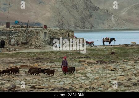 La Chine, région autonome du Xinjiang, Pamir highlands, les pâturages et les communautés kirghize nomades du lac Karakul Banque D'Images