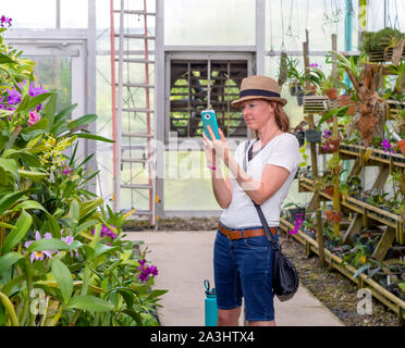 Caucasian woman in hat, chemisier blanc et short en jean prend des photos d'orchidées de serre avec smart phone. Banque D'Images