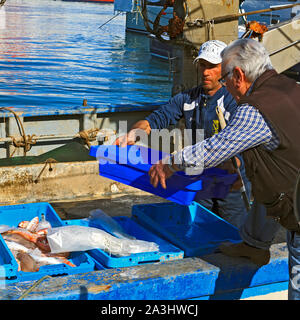 Les pêcheurs vendent la pêche du jour de la pêche à la voile dans le port de pêche de Dénia, sur la Costa Blanca, Espagne Banque D'Images