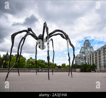 L'Araignée géante Banque D'Images