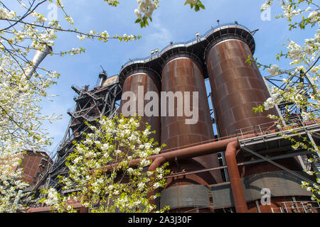 Parc Paysage, Duisburg Nord, l'ex-ironworks, Meidrich à Duisburg, printemps, la floraison des cerisiers d'oiseaux sur le Cowperplatz cowper, réchauffeur, Cowper Banque D'Images