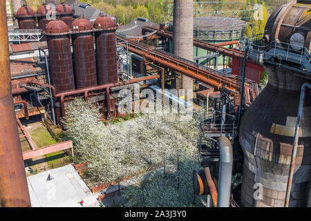 Parc Paysage, Duisburg Nord, l'ex-ironworks, Meidrich à Duisburg, printemps, la floraison des cerisiers d'oiseaux sur le Cowperplatz cowper, réchauffeur, Cowper Banque D'Images