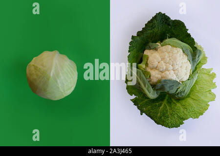 Le chou blanc et le chou-fleur frais isolé sur fond blanc et vert.Food concept. Concepts de cuisine Banque D'Images