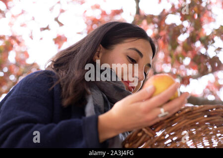 Jeune femme avec apple et panier à l'automne Banque D'Images