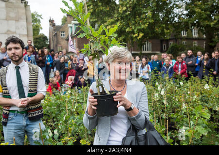 Londres, Royaume-Uni. 8 octobre, 2019. Kate Green, du travail et de Stretford MP pour Urmston, reçoit un arbre de l'extinction en rébellion activistes du climat ancien Palace Yard sur la deuxième journée de protestation internationale rébellion. Une jeune forêt créé des militants d'arbres en pot à l'extérieur du Parlement dans le cadre d'une initiative appelée Reboiser la terre et ils ont été ensuite présentés aux députés d'appeler le gouvernement à planter des milliards d'arbres à travers le Royaume-Uni et soutenir la plantation de milliers de plus dans le monde. Credit : Mark Kerrison/Alamy Live News Banque D'Images