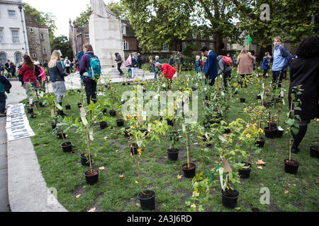 Londres, Royaume-Uni. 05Th Oct, 2019. Divers plants vu au cours de la protestation de l'extinction par la rébellion de groupe d'activiste.Extinction La rébellion est un mouvement international qui utilise la désobéissance civile non violente dans une tentative de mettre un terme à l'extinction de masse et de réduire au minimum le risque de l'effondrement social. Le groupe a bloqué un certain nombre de jonctions dans le centre de Londres. Credit : SOPA/Alamy Images Limited Live News Banque D'Images