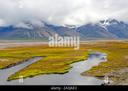 Longyear Rivière dans la vallée de Longyear, Svalbard, Norvège Banque D'Images