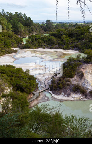 Vue sur parc thermal geo Waiotapu, Nouvelle-Zélande Banque D'Images