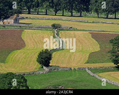 Motif patchwork ondulées de colline tondue partiellement champs divisés par wiggly muret de pierres sèches avec grange et alignement d'arbres en arrière-plan de Cumbria, Angleterre, Royaume-Uni Banque D'Images